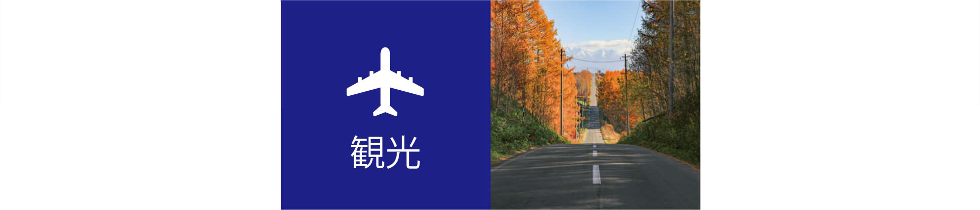 観光